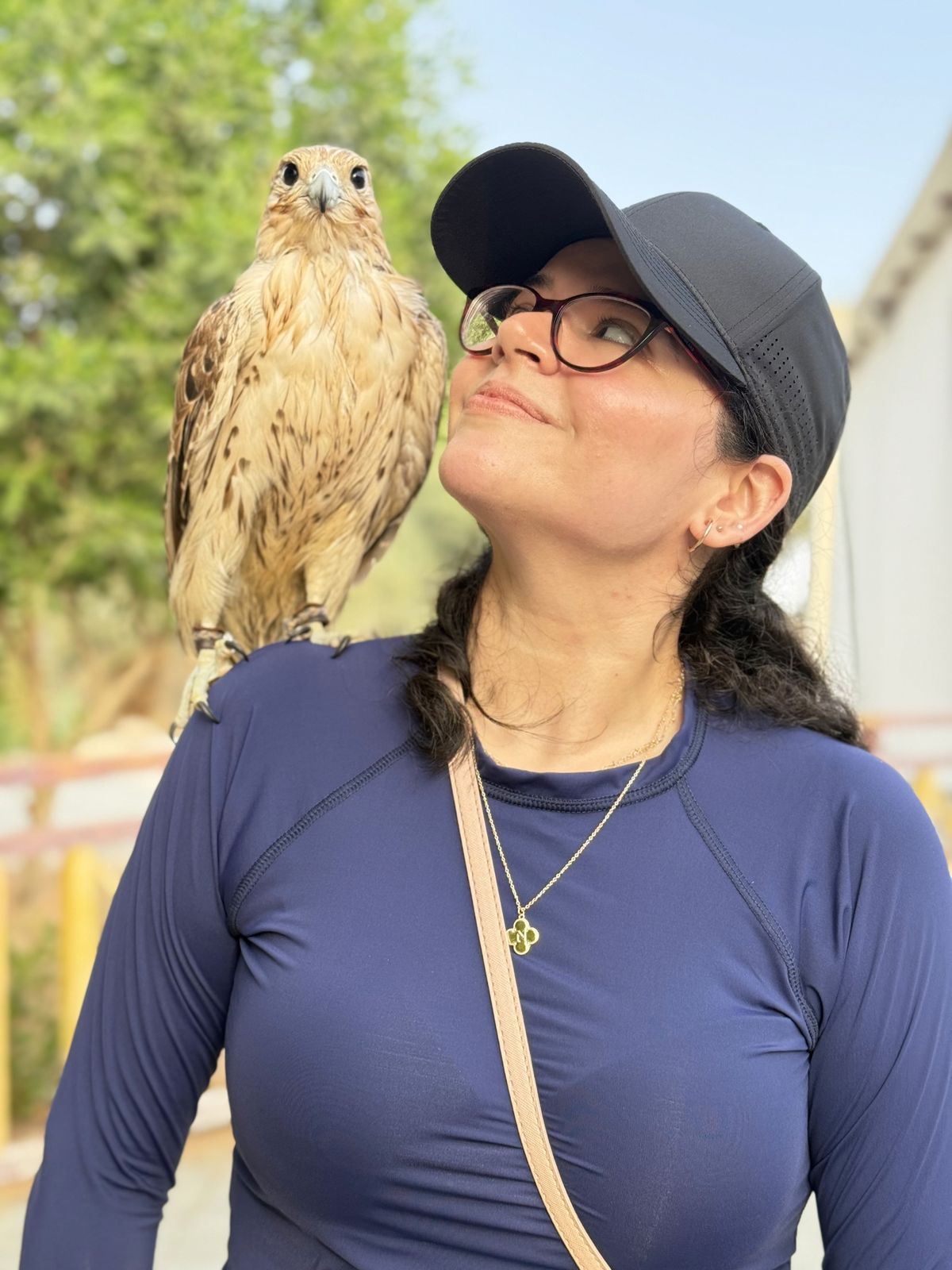 Falconry experience